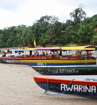 Puerto Misahuallí, Ecuador, hoteles, tours, actividades y turismo