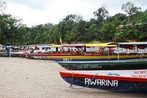 Puerto Misahuallí, Ecuador, qué hacer, tours y actividades para el turista