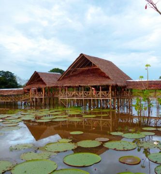 Lecitia Amazonas Colombia Viajes a Leticia