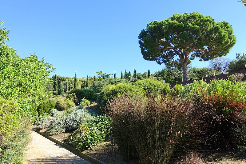 Jardín botánico de Barcelona