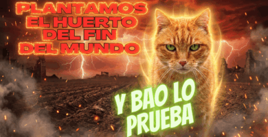 PLANTAMOS EL HUERTO DEL FIN DEL MUNDO CON BAO y vamos al vivero