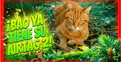 Gato con AirTag 2 Bao ya tiene su AirTag 2 (1)